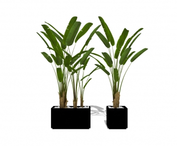 Modern Potted Green Plant-ID:121545575