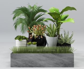 Modern Potted Green Plant-ID:769472353