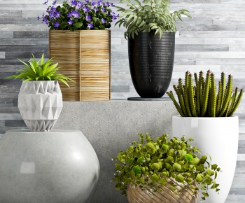 Modern Potted Green Plant-ID:113076391