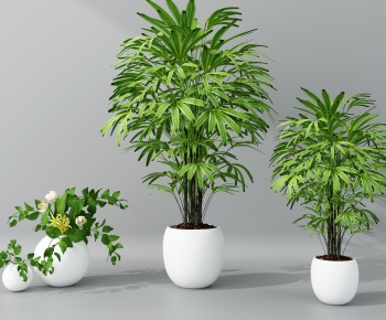 Modern Potted Green Plant-ID:340716491