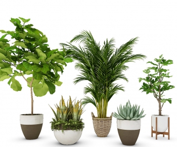 Modern Potted Green Plant-ID:343325894