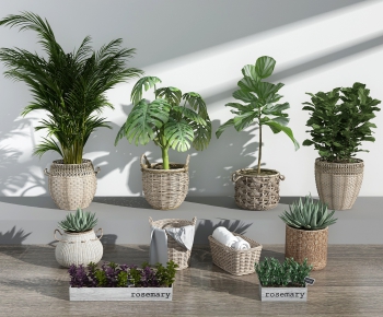 Modern Potted Green Plant-ID:258372652