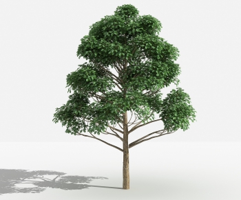 Modern Tree-ID:954488585