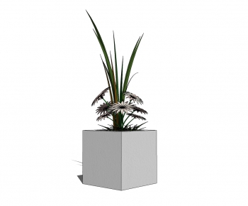 Modern Potted Green Plant-ID:768930647