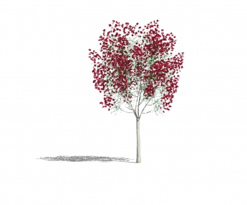 Modern Tree-ID:195602556