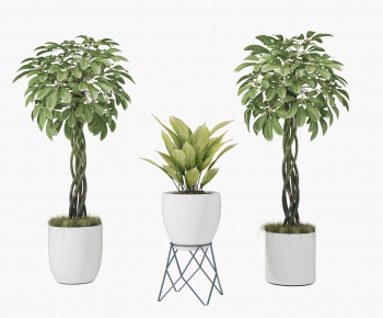 Modern Potted Green Plant-ID:372394674