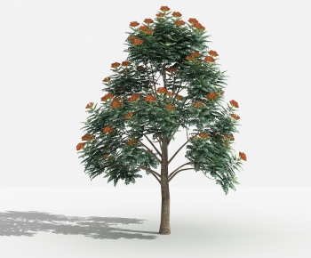 Modern Tree-ID:208475994