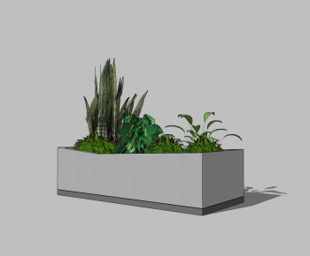 Modern Potted Green Plant-ID:464237261