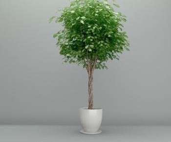 Modern Potted Green Plant-ID:597306634