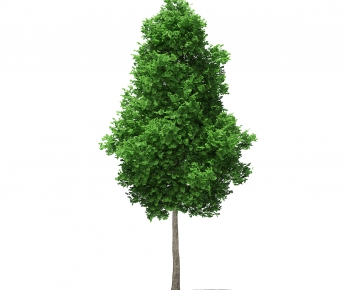 Modern Tree-ID:860952136