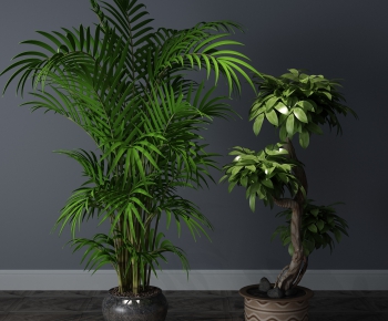 Modern Potted Green Plant-ID:761314242