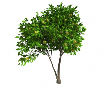 Modern Tree-ID:959305937