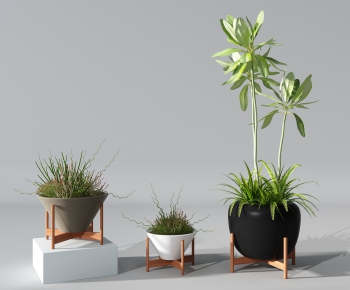 Modern Potted Green Plant-ID:694334333