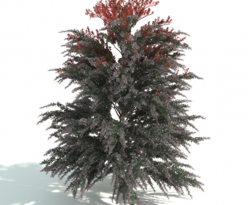 Modern Shrubbery-ID:441272888