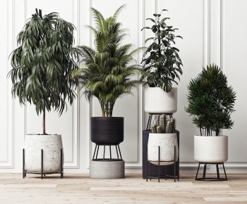 Modern Potted Green Plant-ID:625364346