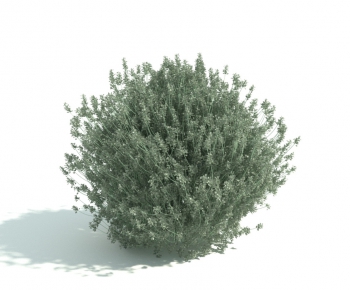 Modern Shrubbery-ID:587760487