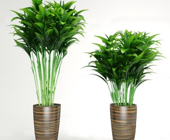 Modern Potted Green Plant-ID:742745424