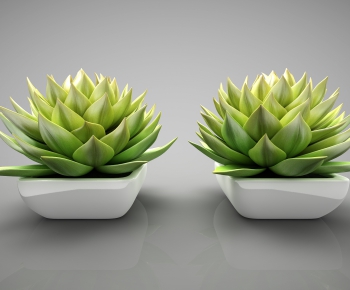 Modern Potted Green Plant-ID:993079364