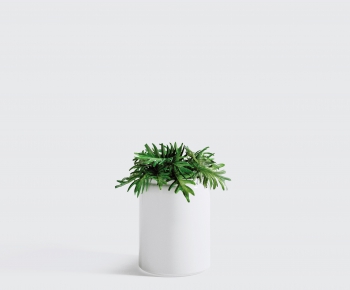 Modern Potted Green Plant-ID:606285914
