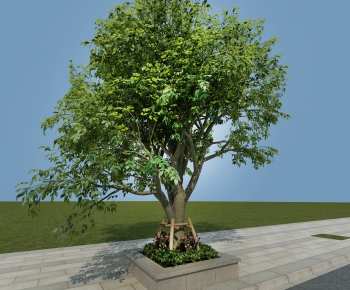 Modern Tree-ID:989013561