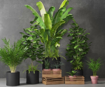 Modern Potted Green Plant-ID:628224471