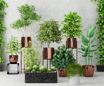 Modern Potted Green Plant-ID:817227846