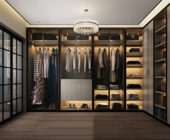 Modern Clothes Storage Area-ID:338876725