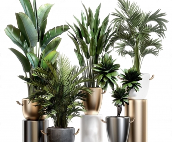 Modern Potted Green Plant-ID:724378756