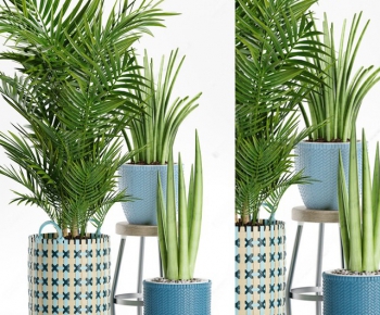 Modern Potted Green Plant-ID:116653889