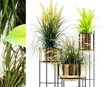 Modern Potted Green Plant-ID:427383436