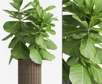 Modern Potted Green Plant-ID:651445997
