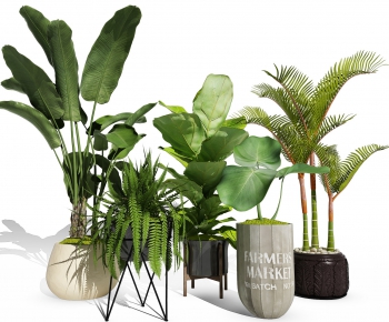 Modern Potted Green Plant-ID:339533825