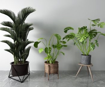 Modern Potted Green Plant-ID:778822188