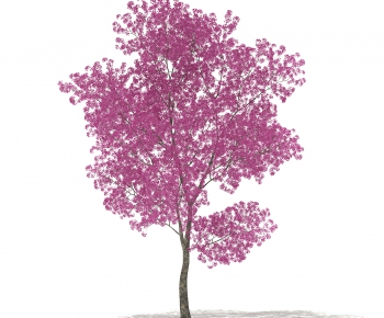 Modern Tree-ID:788061473