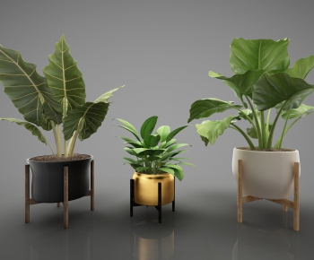 Modern Potted Green Plant-ID:594244941