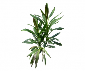 现代绿色植物-ID:154392538