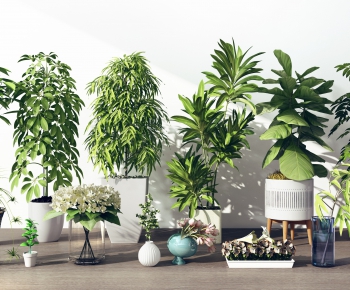 Modern Potted Green Plant-ID:929913716