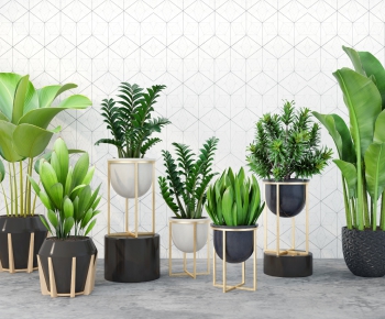 Modern Potted Green Plant-ID:725036373