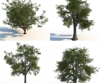 Modern Tree-ID:601533597