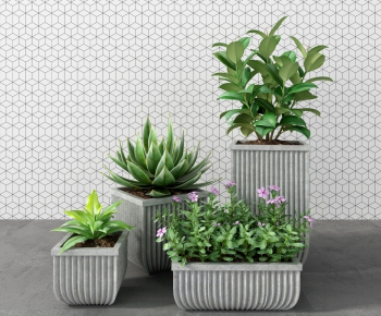 Modern Potted Green Plant-ID:262439444