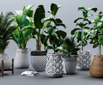 Modern Potted Green Plant-ID:383916715