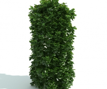 Modern Shrubbery-ID:777858241