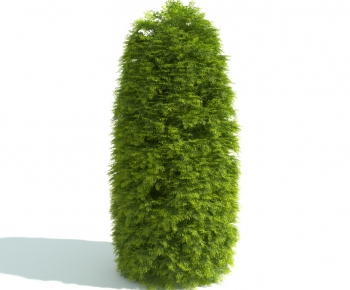 Modern Shrubbery-ID:381413578