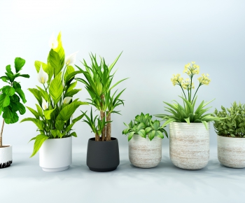 Modern Potted Green Plant-ID:291044565