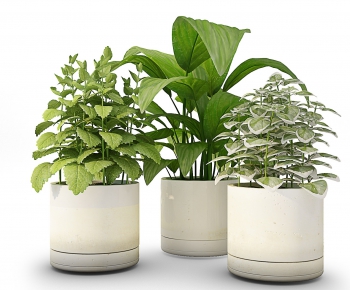 Modern Potted Green Plant-ID:477631974