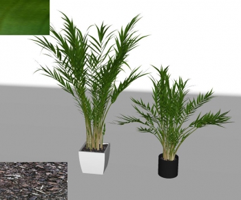 Modern Potted Green Plant-ID:834368313
