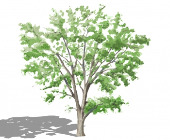 Modern Tree/shrub/grass-ID:111502691