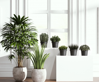 Modern Potted Green Plant-ID:929851699