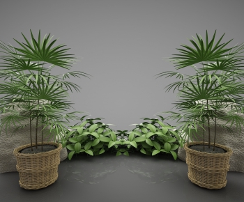 Modern Potted Green Plant-ID:386239544