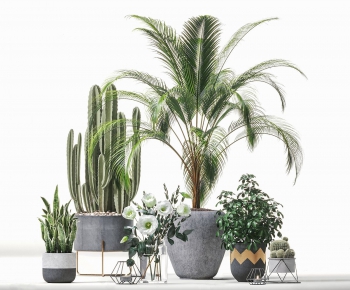 Modern Potted Green Plant-ID:941004398